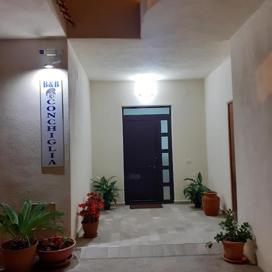La Conchiglia Bed And Breakfast San Nicola Arcella Buitenkant foto